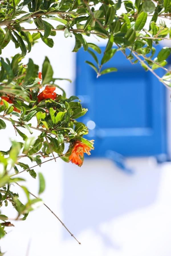 Villa Mykonos In White Mykonos Town Exterior foto